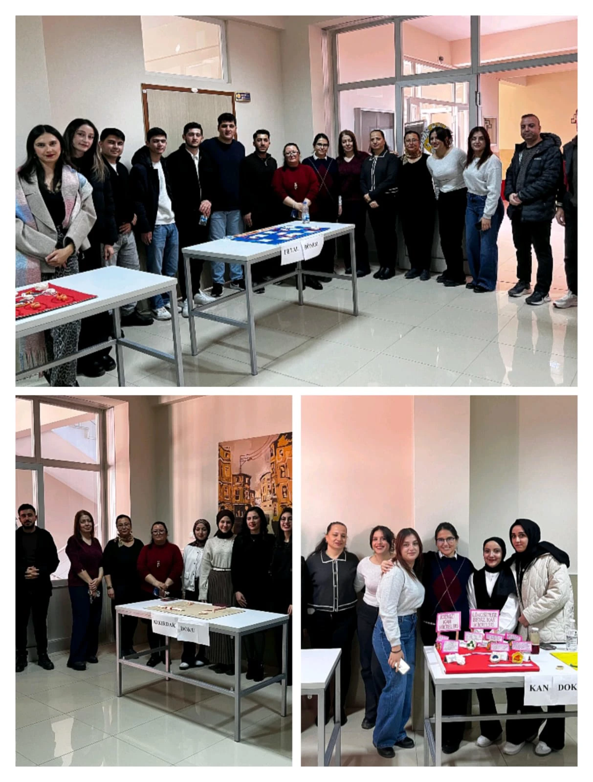 ÖĞRENME VE ÖĞRETMENİN GÖRSEL YOLCULUĞU:HEMŞİRELİKTE HİSTOLOJİ DERSİ SERGİSİ-2